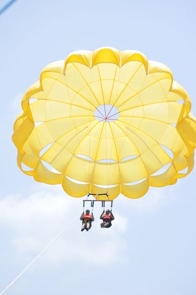 ⚜️PARACELLIN⚜️