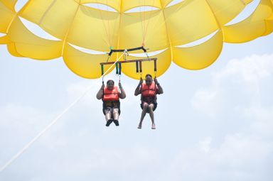 ⚜️PARACELLIN⚜️