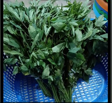Gongura bunch