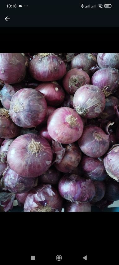 Red onion 3 kg