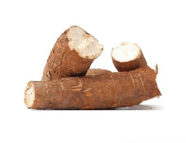 Manioc