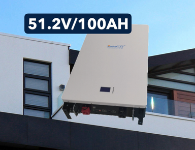 Lithium Battery 51.2/100
