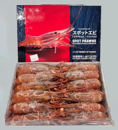 Jumbo Botan Ebi
