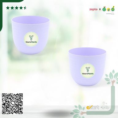 Purple Verona Plants Pot for Home & Office Decor {Pack of 2}