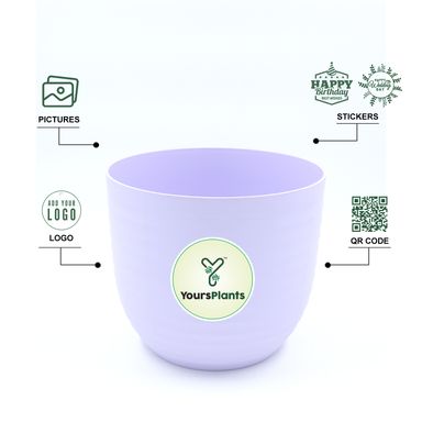 Purple Verona Plants Pot for Home & Office Decor {Pack of 2}