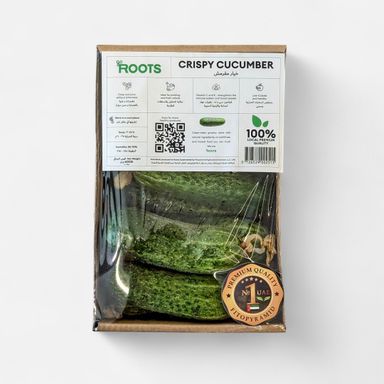 Crispy Cucumbers 1 pack