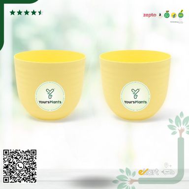Yellow Verona Plants Pot for Home & Office Decor {Pack of 2}