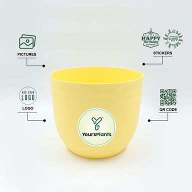 Yellow Verona Plants Pot for Home & Office Decor {Pack of 2}