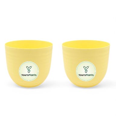 Yellow Verona Plants Pot for Home & Office Decor {Pack of 2}