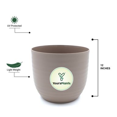 Mocca Verona Plants Pot for Home & Office Decor {Pack of 2}