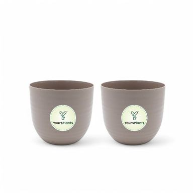 Mocca Verona Plants Pot for Home & Office Decor {Pack of 2}