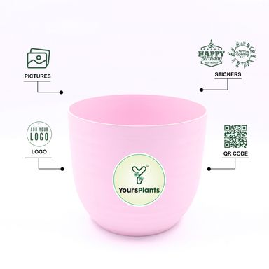 Pink Verona Plants Pot for Home & Office Decor {Pack of 2}