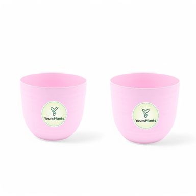 Pink Verona Plants Pot for Home & Office Decor {Pack of 2}