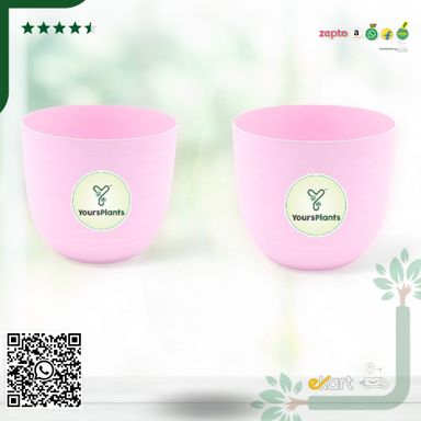 Pink Verona Plants Pot for Home & Office Decor {Pack of 2}