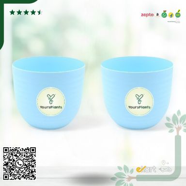 Blue Verona Plants Pot for Home & Office Decor {Pack of 2}