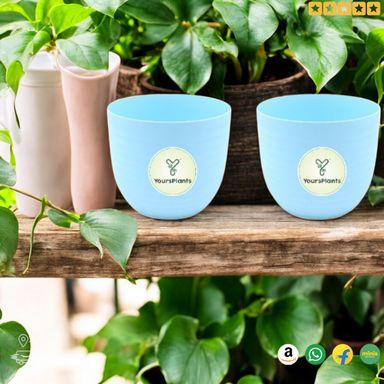 Blue Verona Plants Pot for Home & Office Decor {Pack of 2}