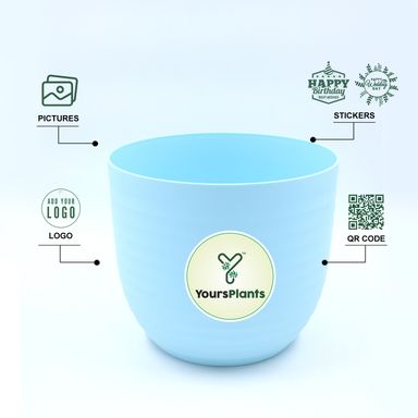Blue Verona Plants Pot for Home & Office Decor {Pack of 2}