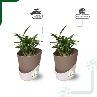 Mocca Atlantis Self Water Pots | Pack of 2 |