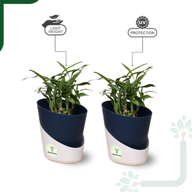 Navy Blue Atlantis Self Water Pots | Pack of 2