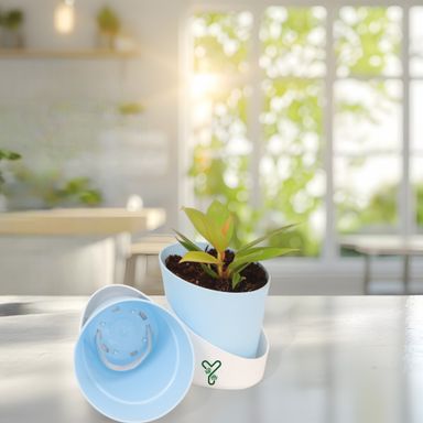 Pastel Blue Atlantis Self Water Pots | Pack of 2