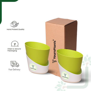Lemon Green Atlantis Self Water Pots | Pack of 2 
