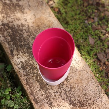 Pink Atlantis Self Water Pots | Pack of 2