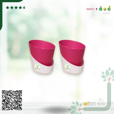 Pink Atlantis Self Water Pots | Pack of 2