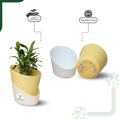 Pastel Yellow Atlantis Self Water Pots | Pack of 2