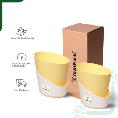 Pastel Yellow Atlantis Self Water Pots | Pack of 2