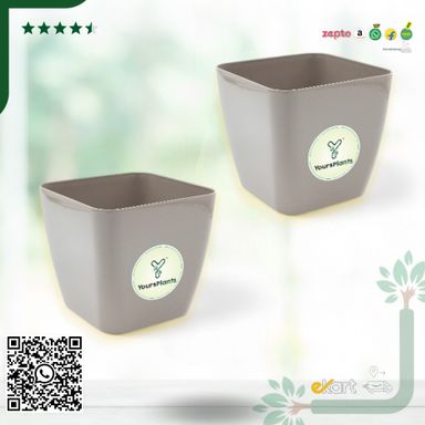 Siena Square Planters | Pack of 2 | Mocca Pot