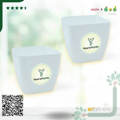 Siena Square Planters | Pack of 2 | White Pot