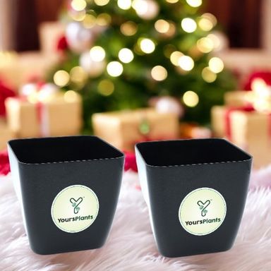 Siena Square Planters | Pack of 2 Black Pot