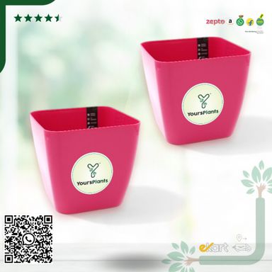 Siena Square Planters | Pack of 2 Pink Pot