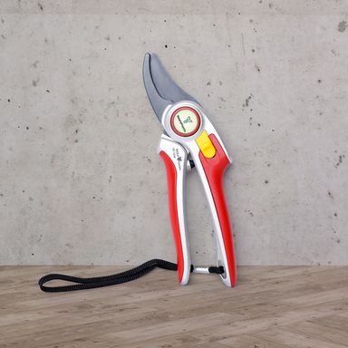 Wolf-Garten Home Gardening Scissors (Shears Bypass RR 5000)