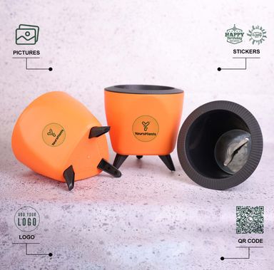 Orange Lagos Self Watering Pot, Pack of 2 