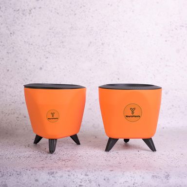 Orange Lagos Self Watering Pot, Pack of 2 