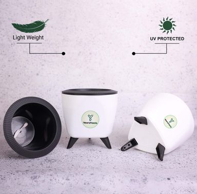White Lagos Self Watering Pot, Pack of 2