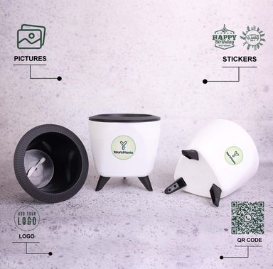 White Lagos Self Watering Pot, Pack of 2