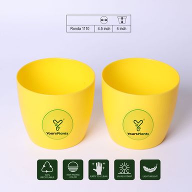Yellow Ronda 1110 Planter - Fits 4''Growser Pot Plants {Free Organic Pot Mix} Pack of 2
