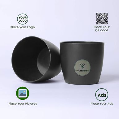 Black Ronda 1110 Planter - Fits 4''Growser Pot Plants {Free Organic Pot Mix} Pack of 2