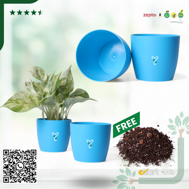 Turquoise Ronda 1110 Planter - Fits 4''Grower Pot {Free Organic Pot Mix} Pack of 2