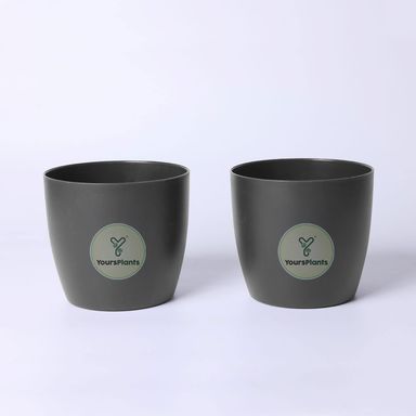 Coffee Ronda 1110 Planter - Fits 4''Grower Pot {Free Organic Pot Mix} Pack of 2
