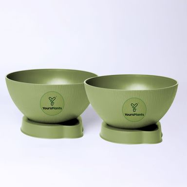 Olive Ara 20 Self-Watering Bowl Pot - 7.9-Inch with Smart Tray & Wick, Pack of  02