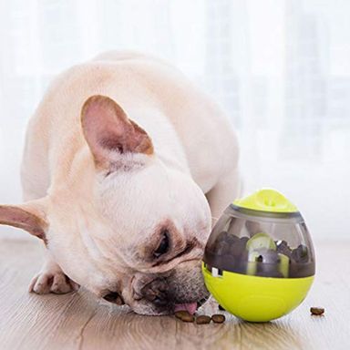 Pelota Dispensador Comida Snack Mascotas