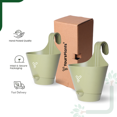 Olive Railing Hook,Self-Watering Pot-Pack of 2