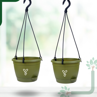 Olive Hanging Self Watering Pot, 8inch, Vertical Hook & 12.5'' Chain | Pack of 2