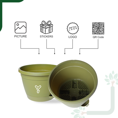 Olive Hanging Self Watering Pot, 8inch, Vertical Hook & 12.5'' Chain | Pack of 2