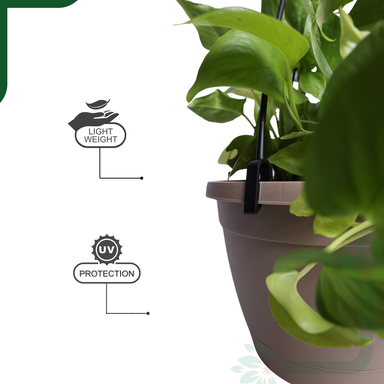 Rock Brown Hanging Self Watering Pot, 8inch, Vertical Hook & 12.5'' Chain | Pack of 2