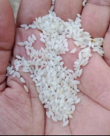 CHITTI MUTHAYALU OR SEERAGA SAMBA RICE 1 KG
