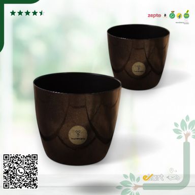Valencia Planters | Pack of 2 | Black Pot